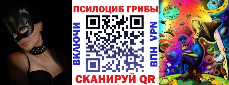 Купить где  Кимры  Псилоцибиновые грибы MAGIC MUSHROOMS 