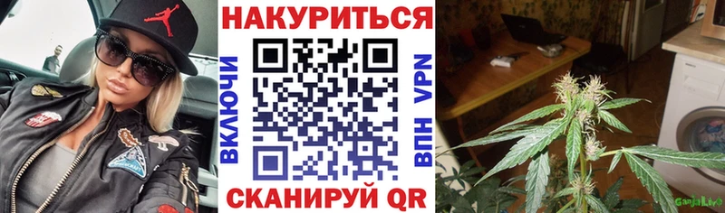МАРИХУАНА гибрид  Купить  Кимры 